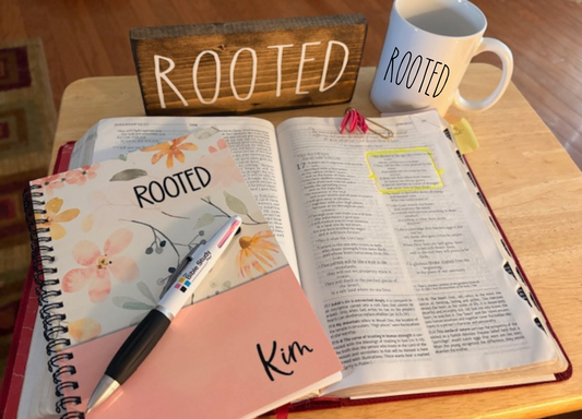 Rooted: Holding Steady Through Every Season